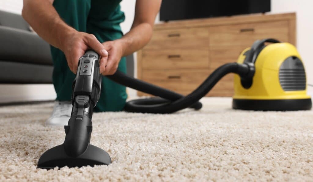dust and vacuum your home